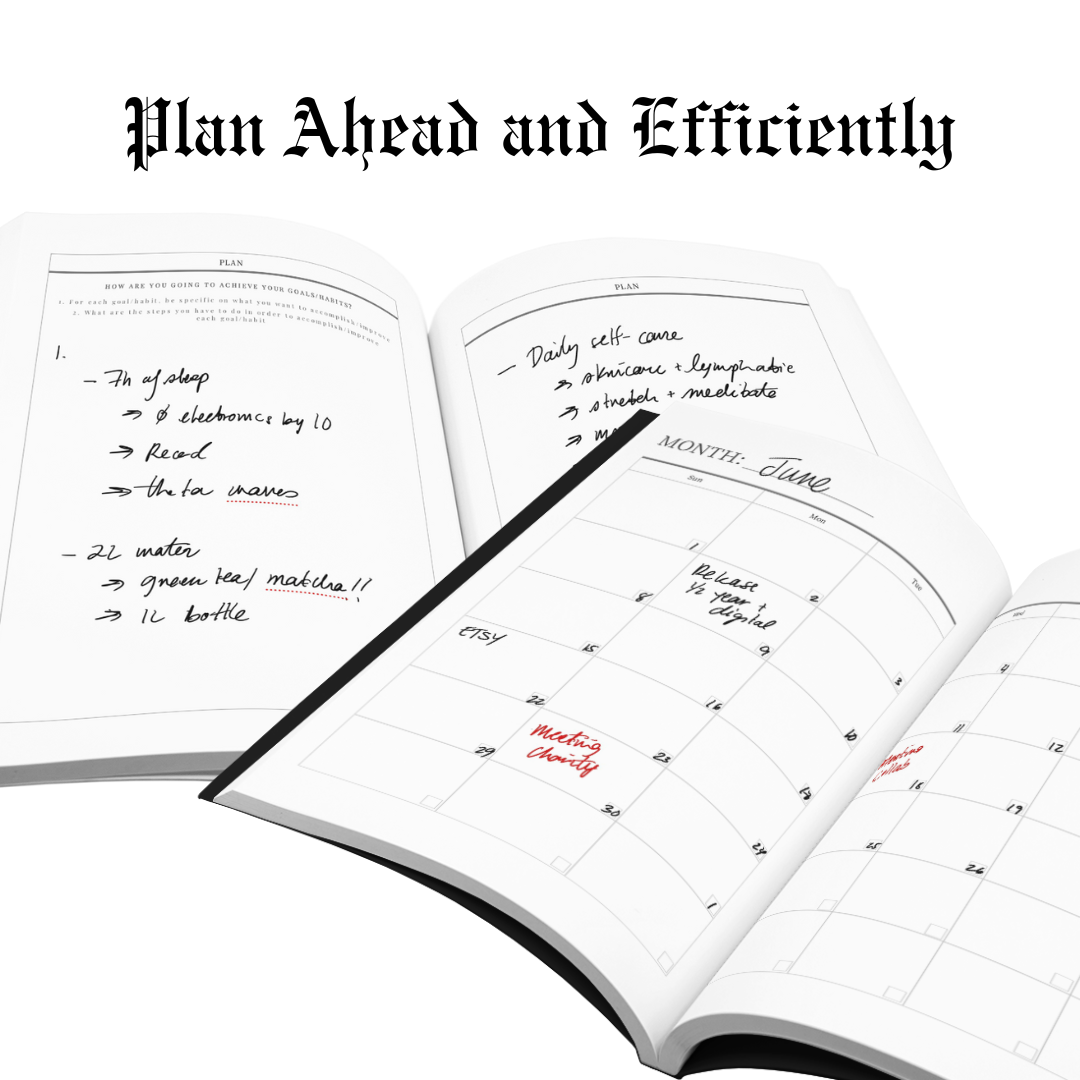 Journal de Développement Personnel